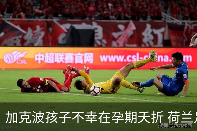加克波孩子不幸在孕期夭折 荷兰足协：球员愿留队征战