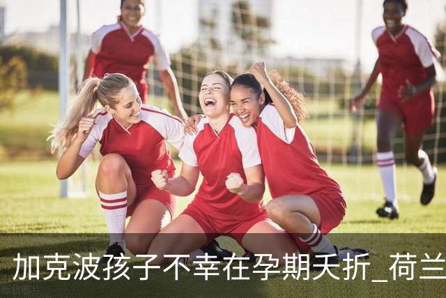 加克波孩子不幸在孕期夭折 荷兰足协：球员愿留队征战