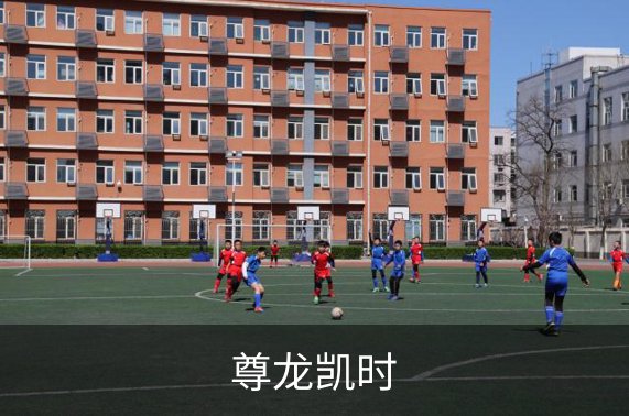 了解尊龙凯时