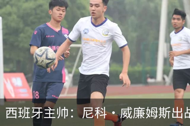 西班牙主帅：尼科·威廉姆斯出战存疑 皮诺或缺席剩余比赛
